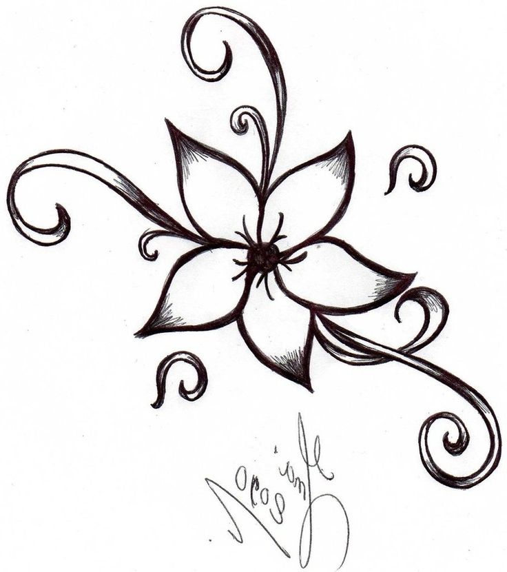 Flower Drawing Photo