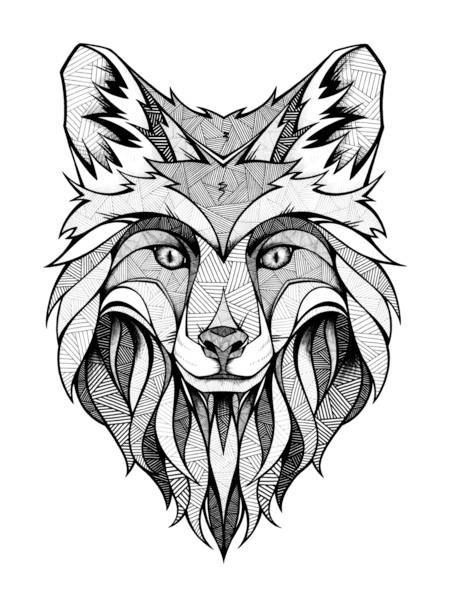 Fox Face Drawing Beautiful Image