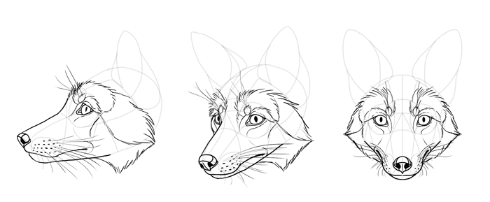 Fox Face Drawing Best