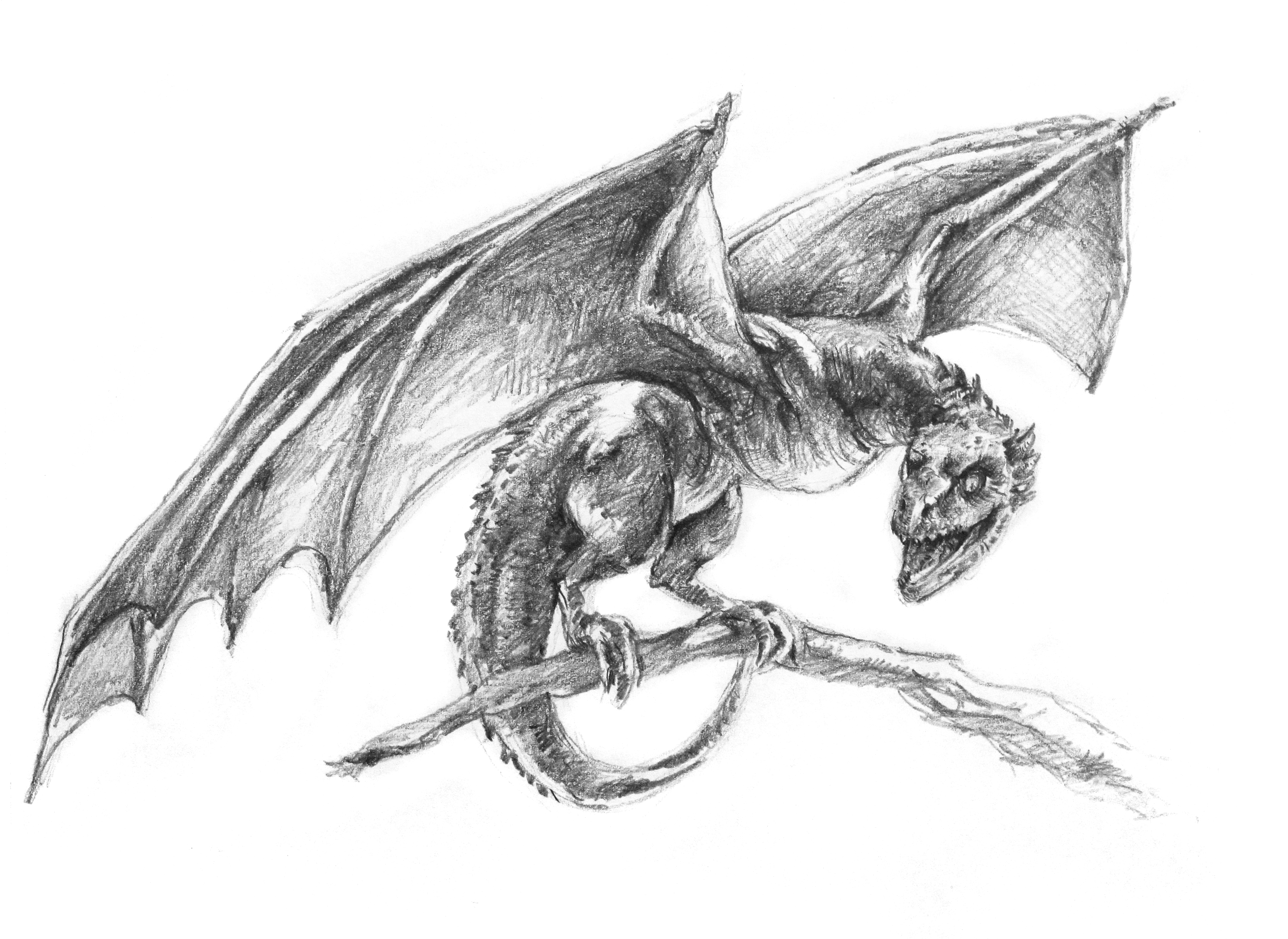 Game of Thrones Dragon Drawing Realistic
