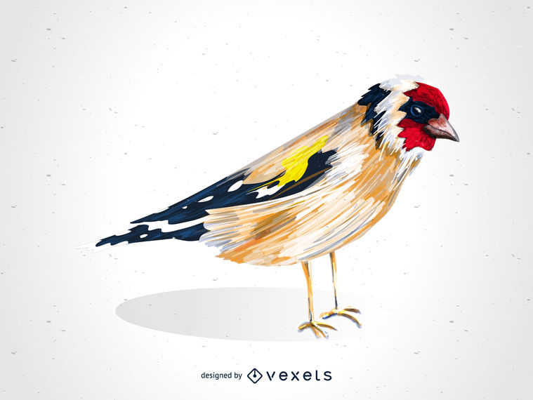 Goldfinch Drawing Image