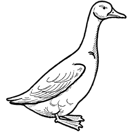 Goose Art Drawing