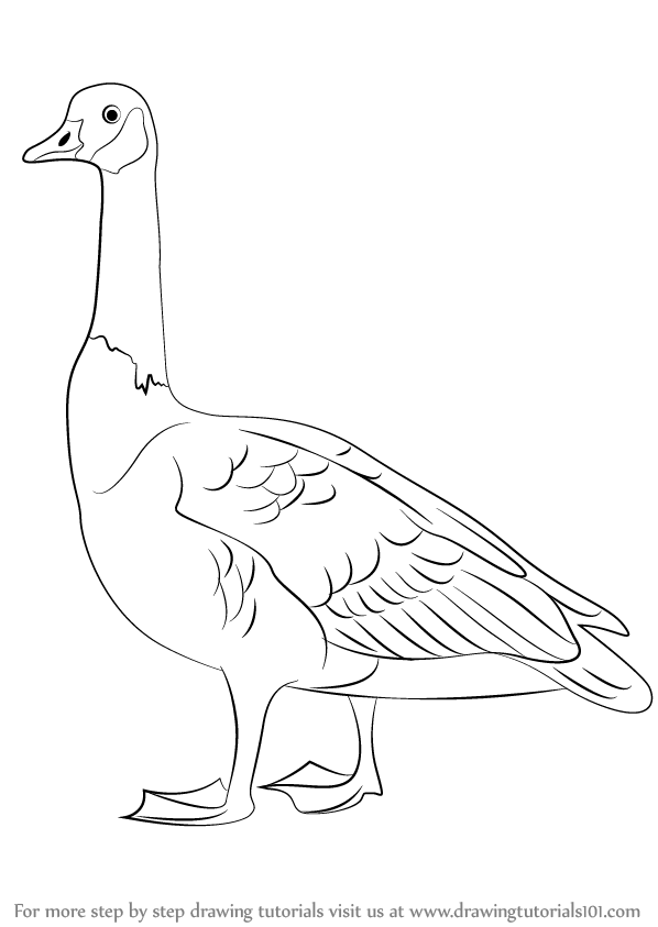 Goose Drawing Best