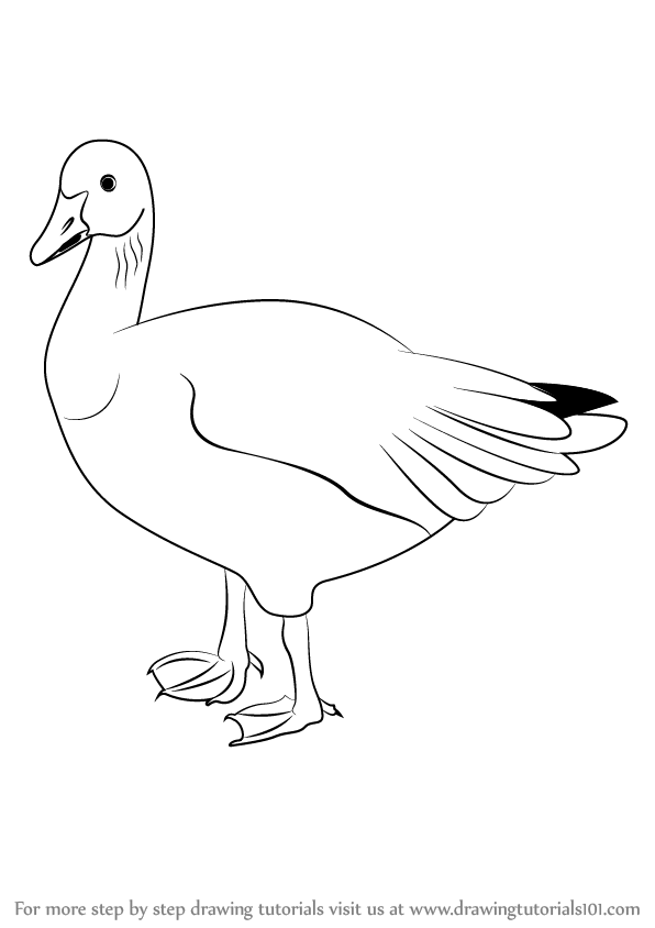 Goose Drawing High-Quality