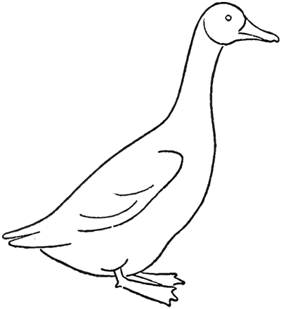 Goose Drawing Sketch