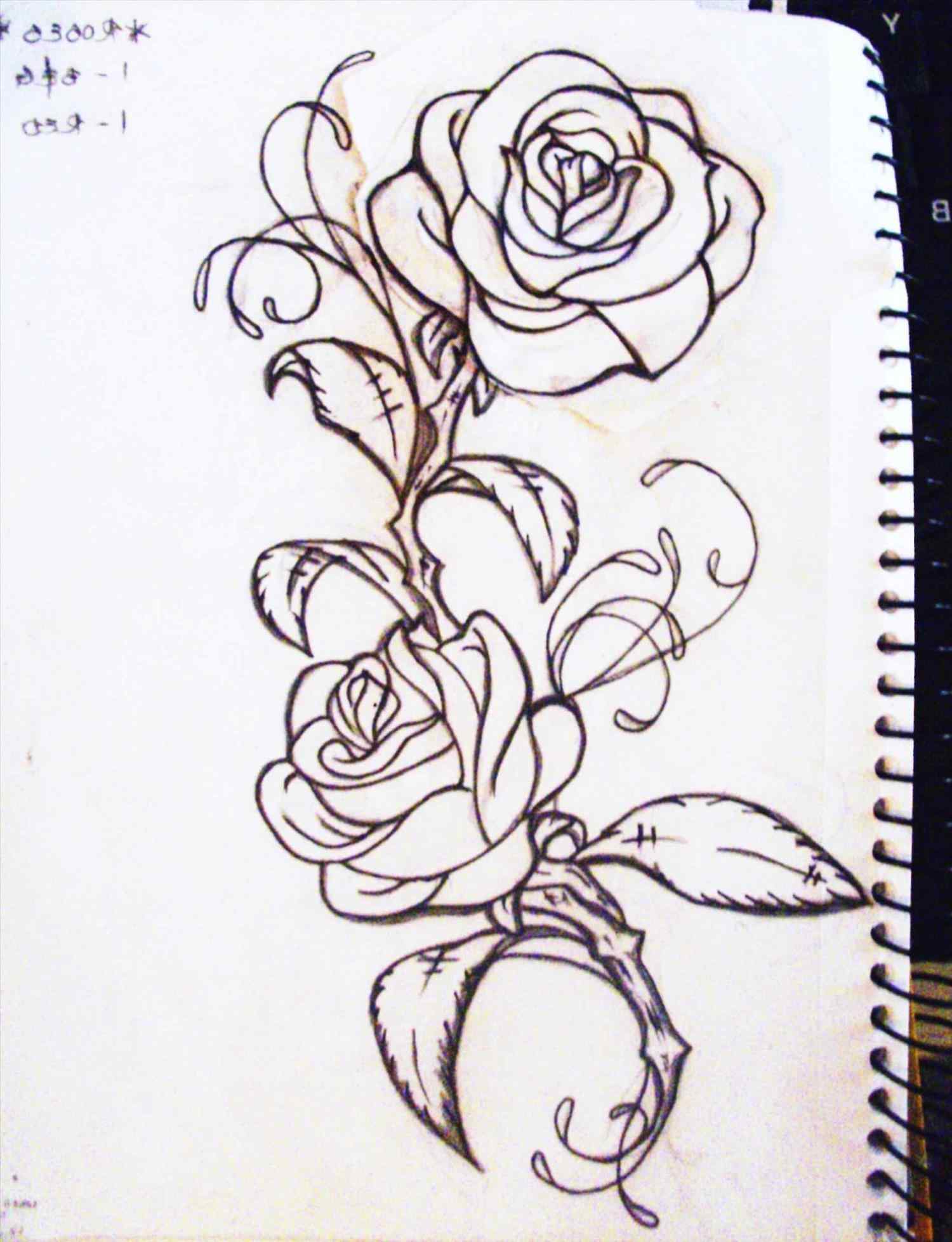Gothic Rose Drawing Art
