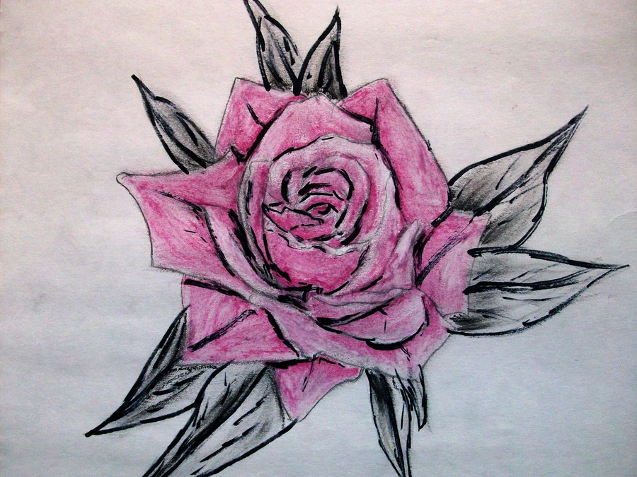 Gothic Rose Drawing Pic