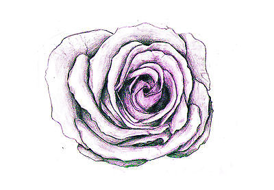Gothic Rose Drawing Picture