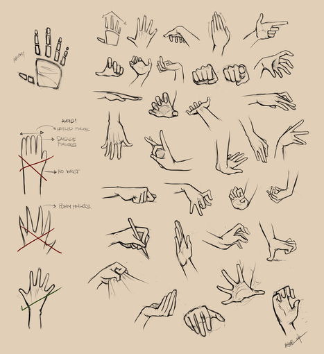 Hand Reference Drawing Amazing