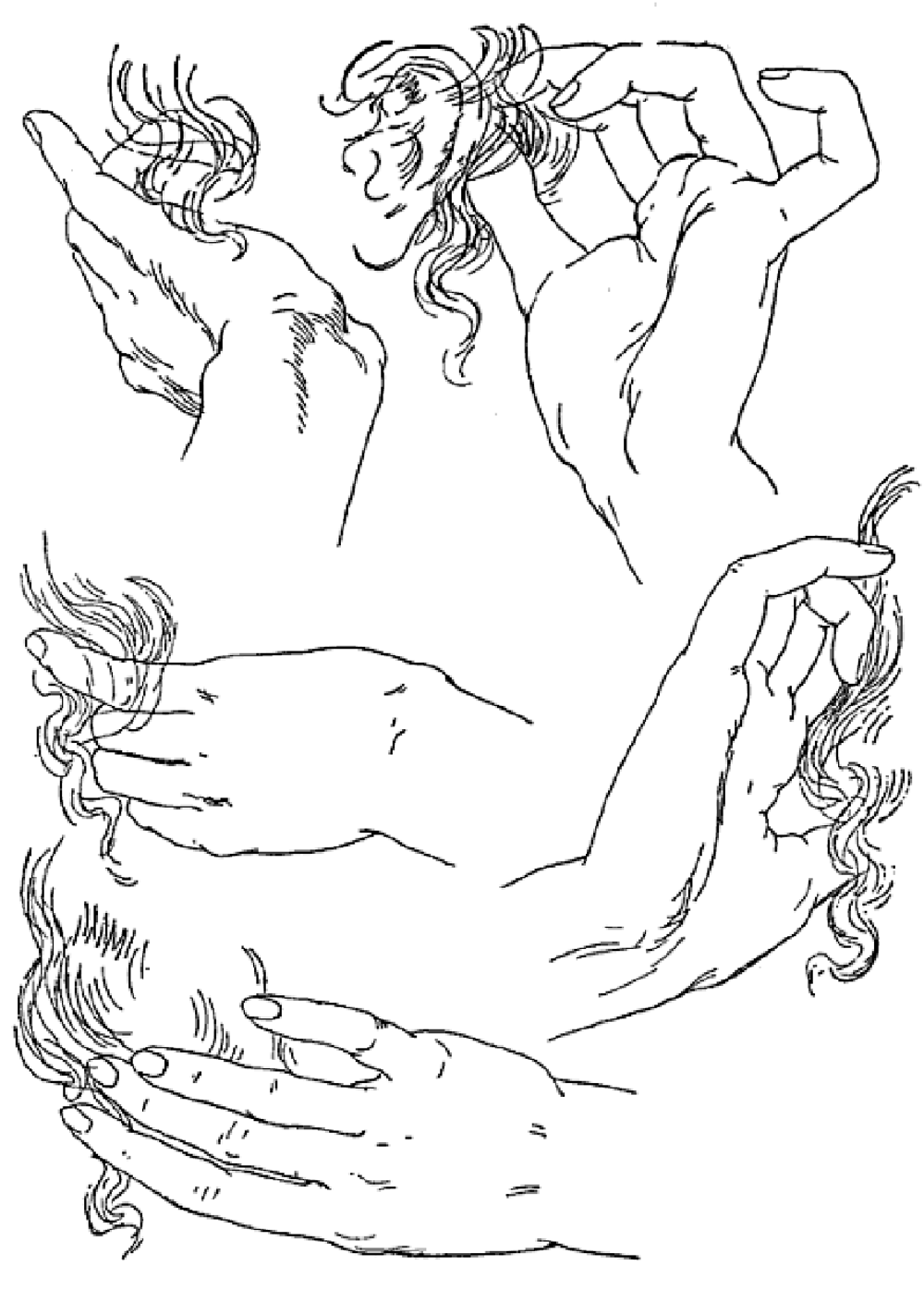 Hand Reference Drawing Beautiful Image