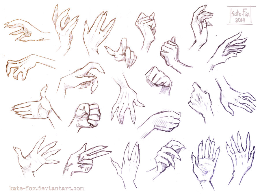 Hand Reference Drawing Best