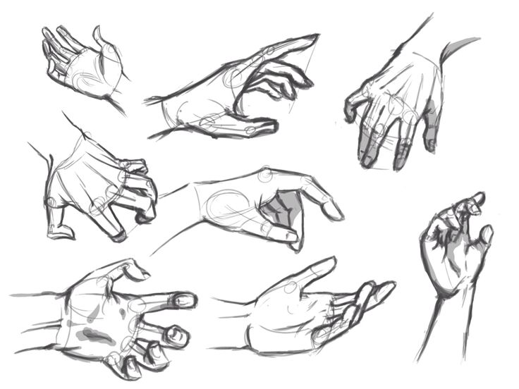 Hand Reference Drawing High-Quality