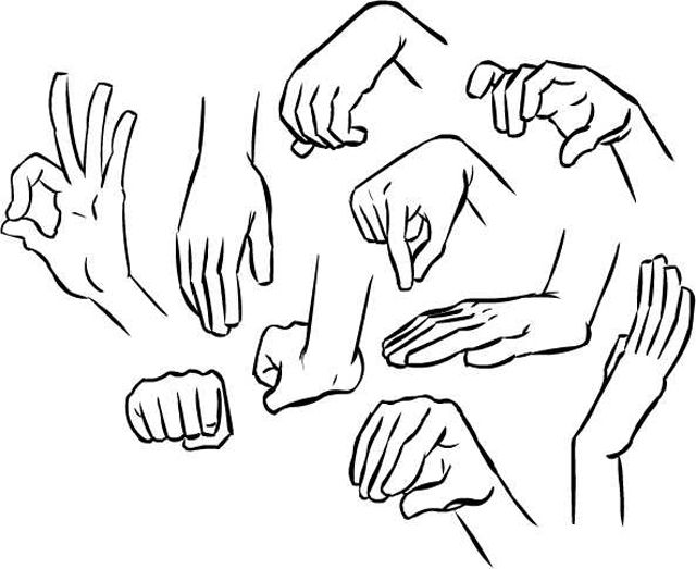 Hand Reference Drawing Image