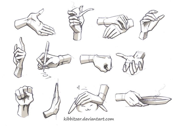 Hand Reference Drawing Images