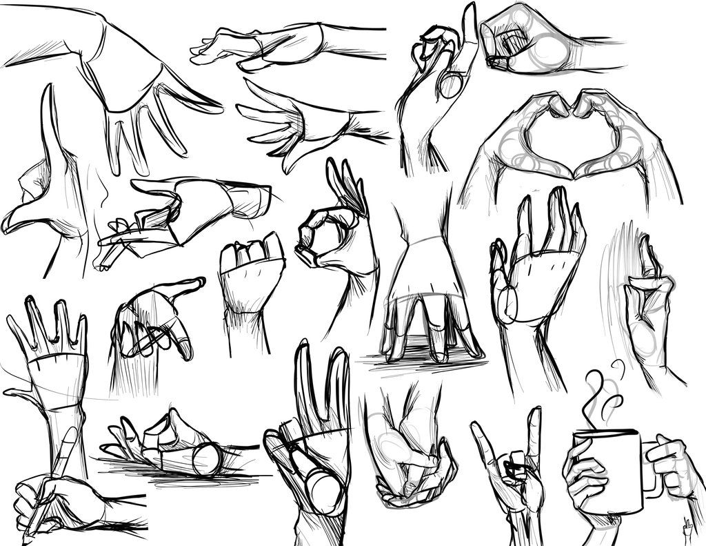 Hand Reference Drawing Photo