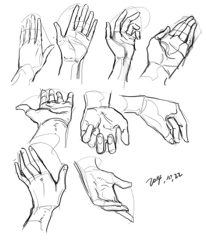 Hand Reference Drawing Picture