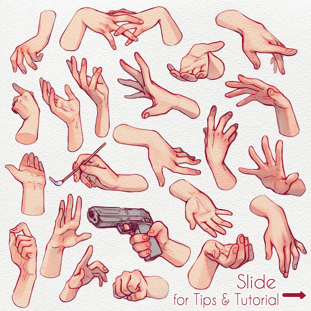 Hand Reference Drawing Pictures