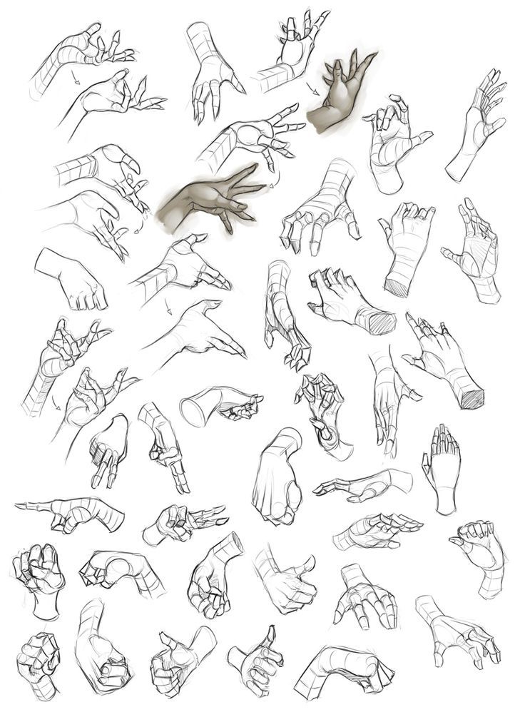 Hand Reference Drawing Sketch
