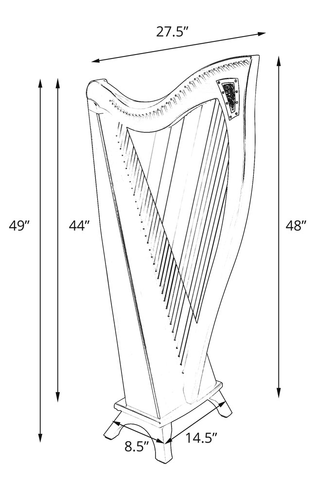 Harp Sketch