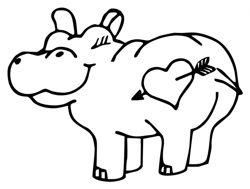 Hippopotamus Beautiful Image Drawing