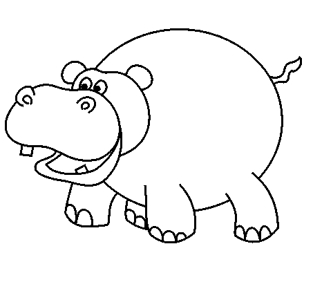 Hippopotamus Drawing