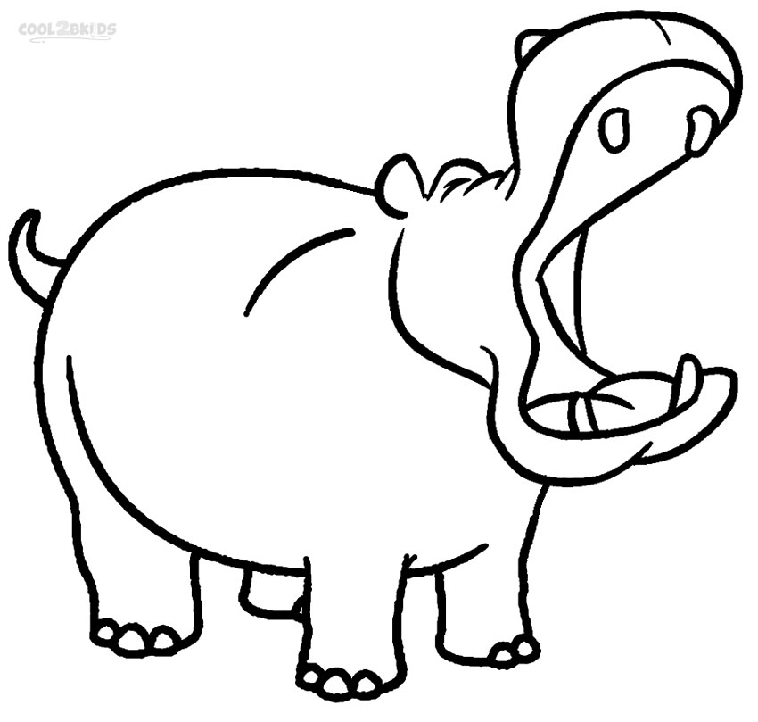 Hippopotamus High-Quality Drawing