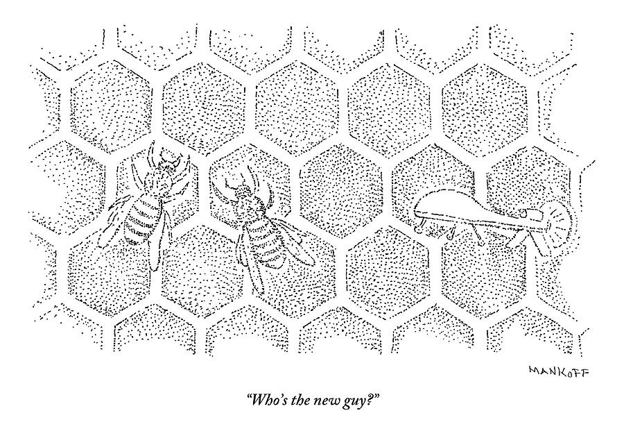 Honeycomb Drawing Realistic