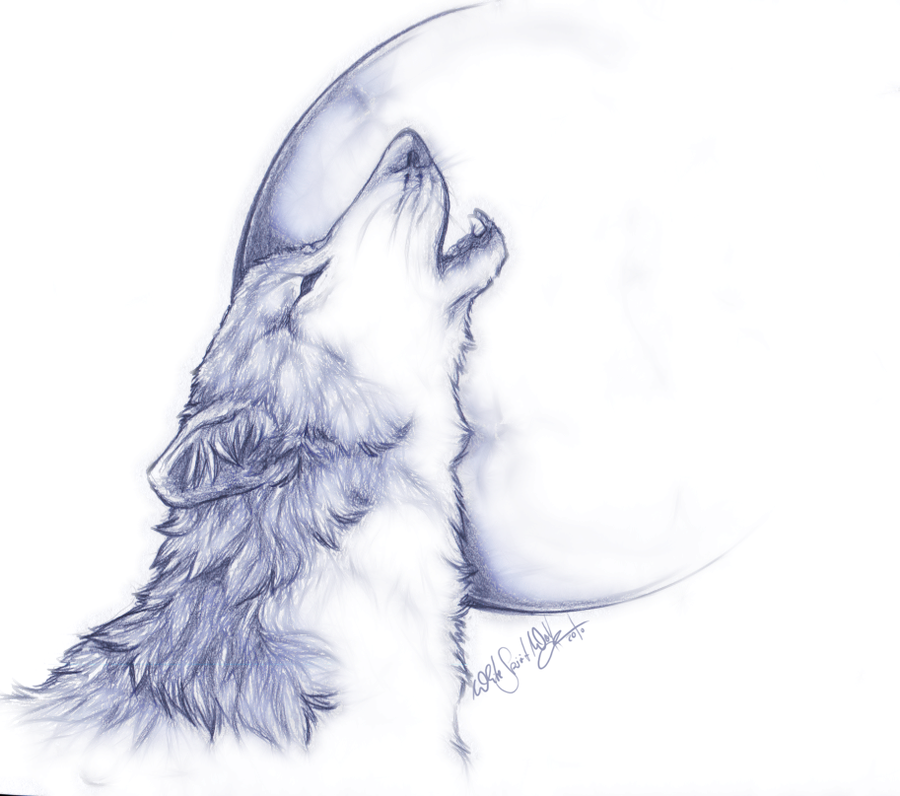 Howling Wolf Drawing Beautiful Image