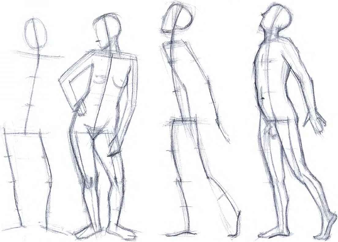 Human Body Drawing Pics