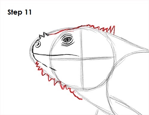 Iguana Head Drawing Pic