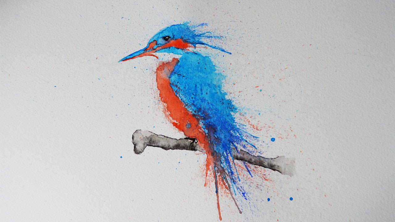 Kingfisher Drawing Amazing