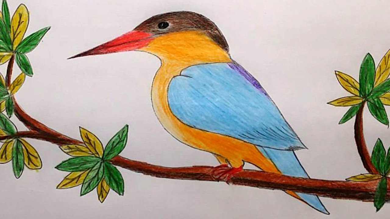 Kingfisher Drawing Beautiful Art