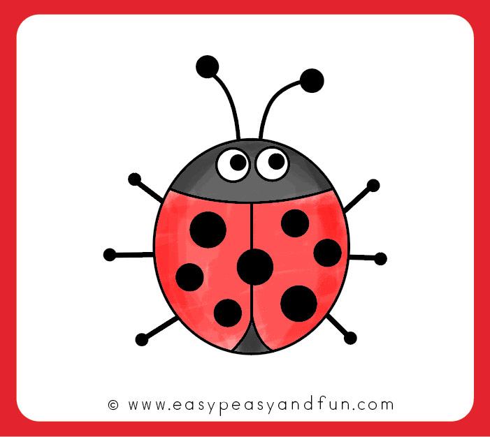 Ladybug Drawing Image