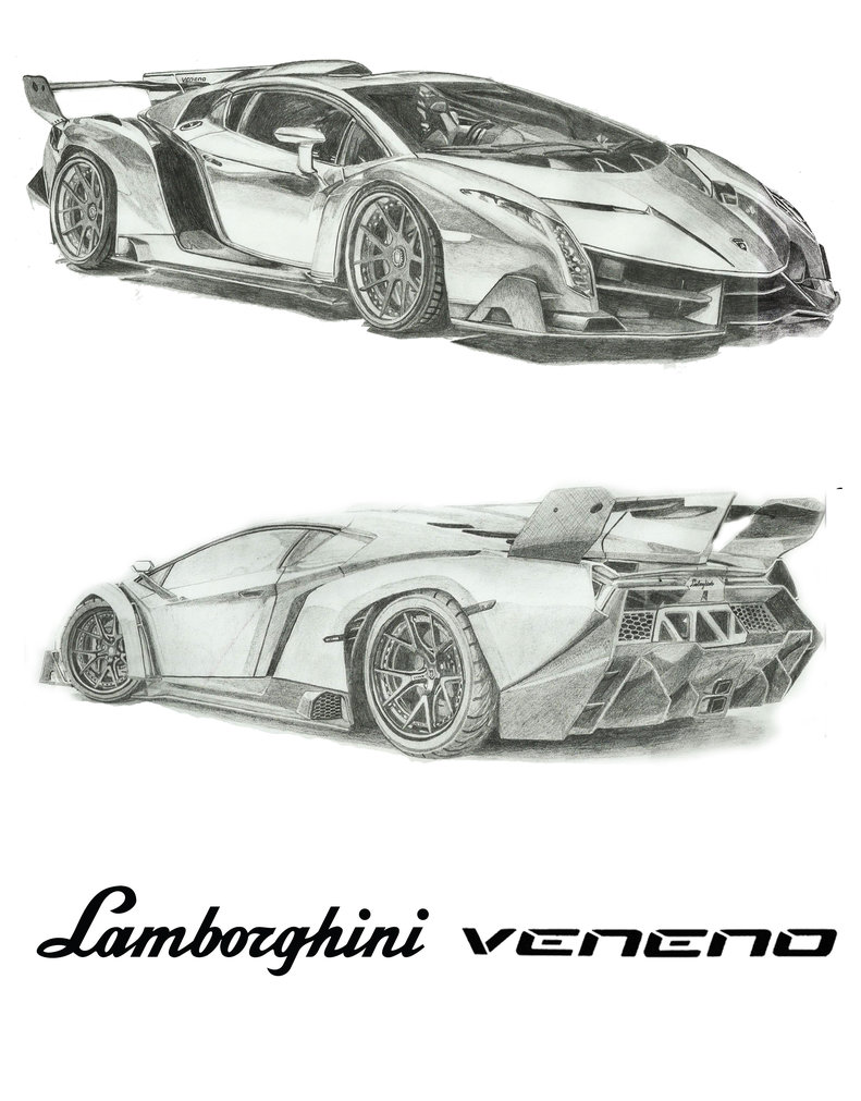 Lamborghini Veneno Drawing Amazing