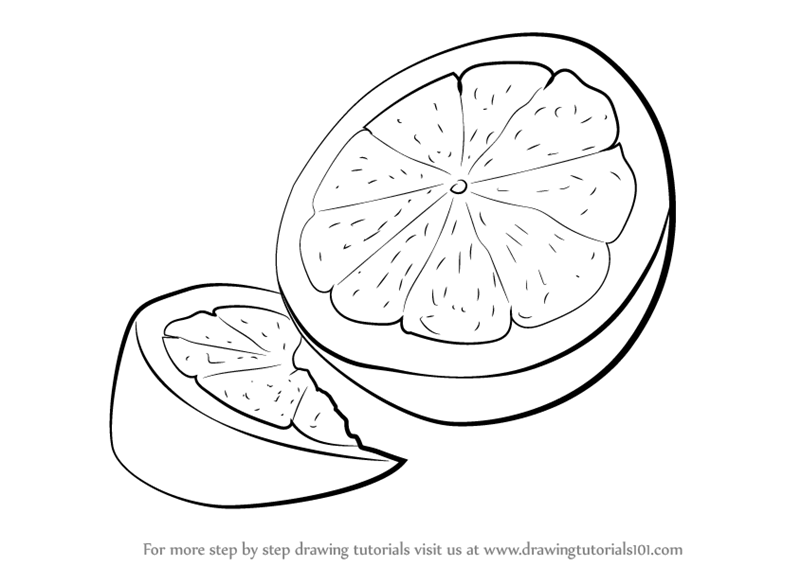 Lemon Photo Drawing