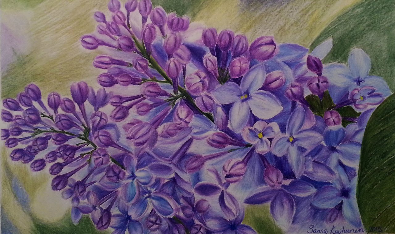 Lilac Drawing Amazing
