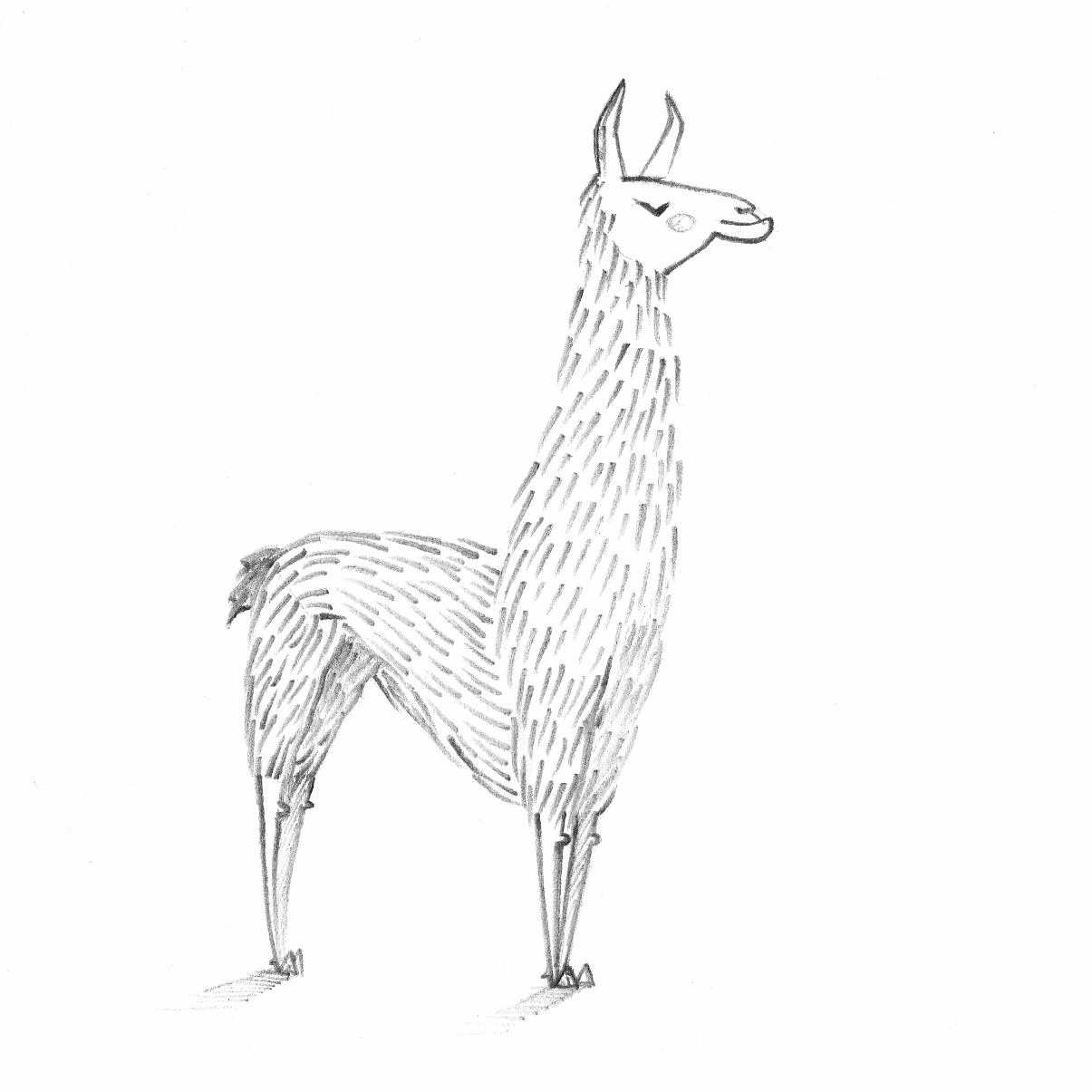 Llama Drawing Image