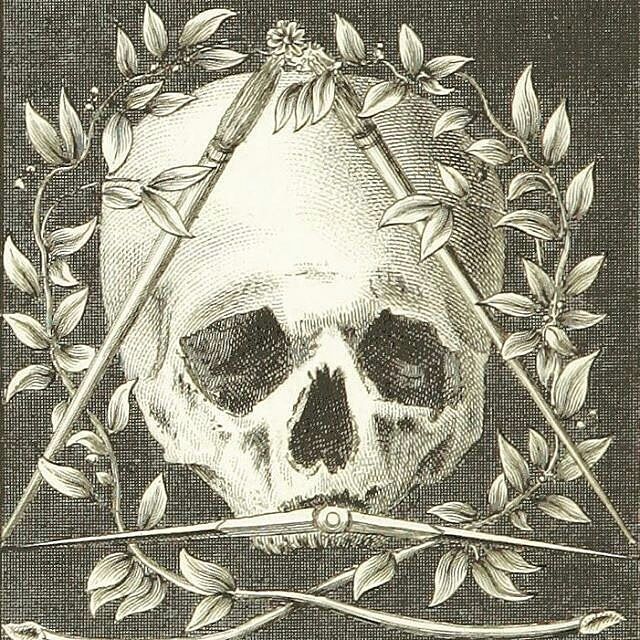 Medieval Skull Drawing Art