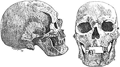 Medieval Skull Drawing Beautiful Art