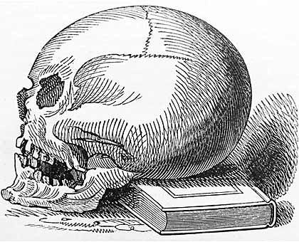 Medieval Skull Drawing Images