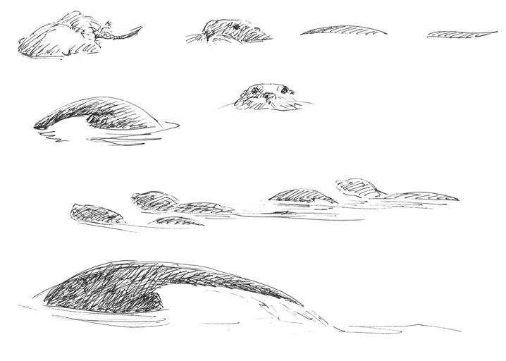 Otter Swimming Drawing Beautiful Image