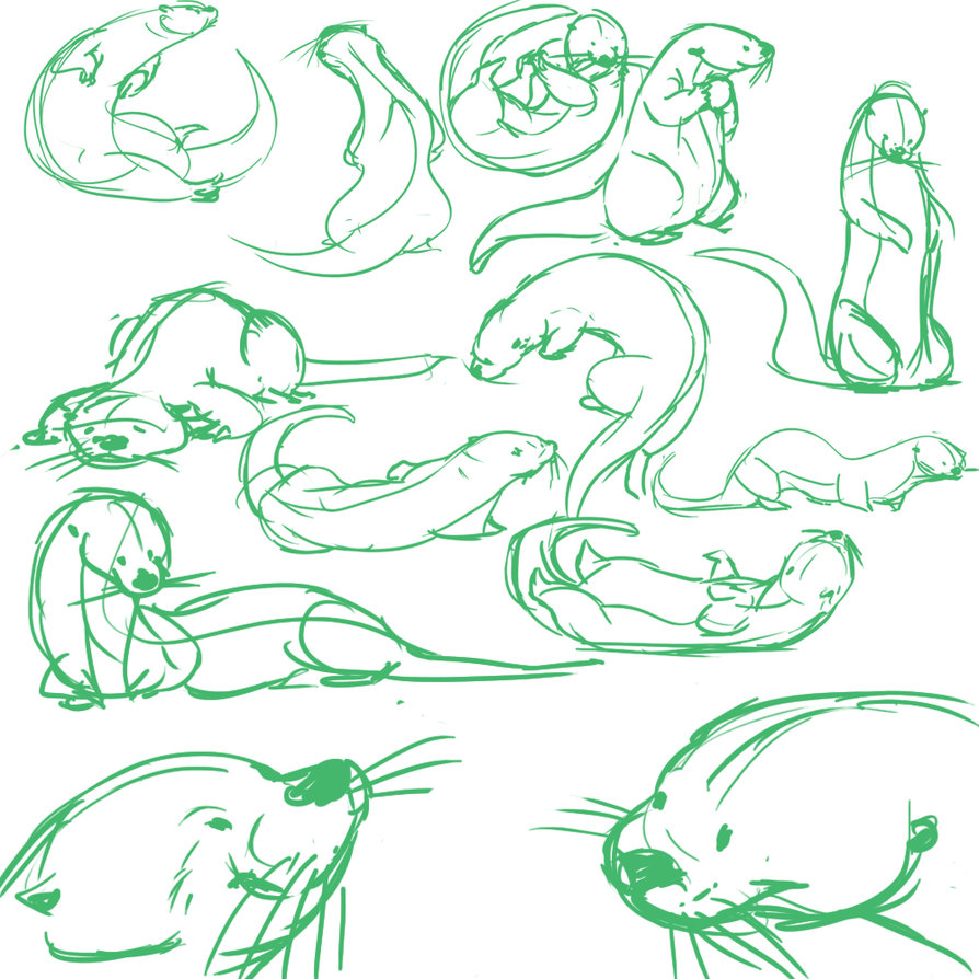 Otter Swimming Drawing Best