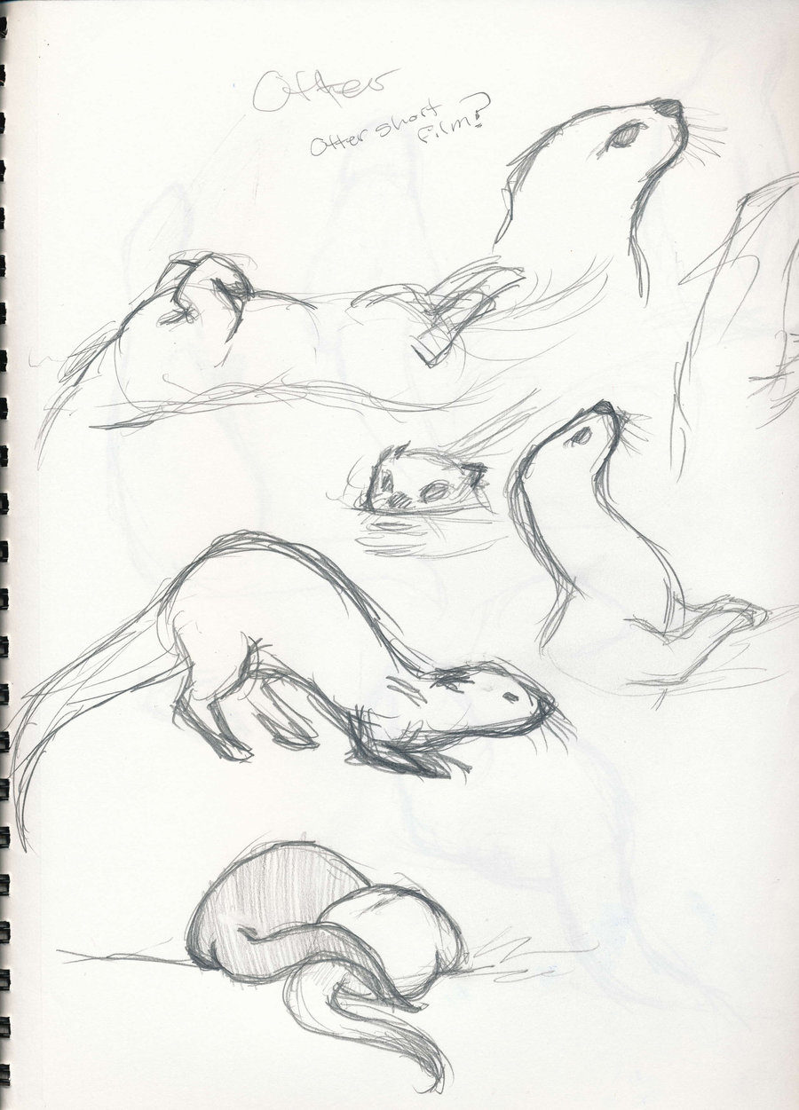 Otter Swimming Drawing High-Quality
