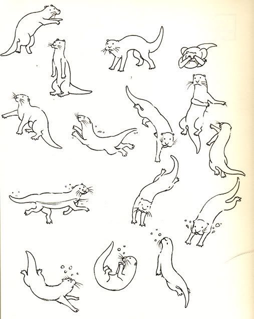Otter Swimming Drawing Pics