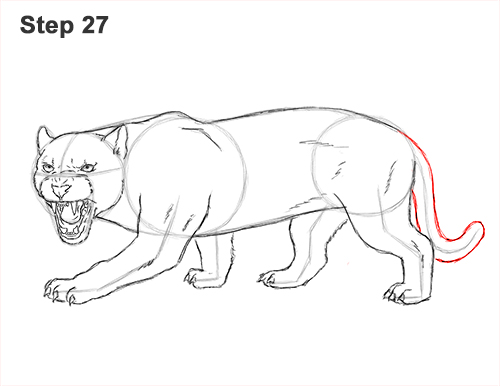 Panther Drawing Art