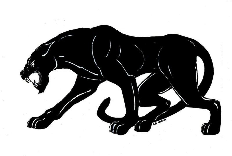 Panther Drawing Realistic