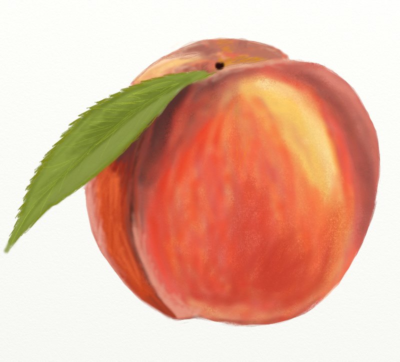 Peach Sketch