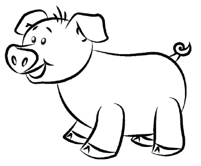 Pig Drawing Art