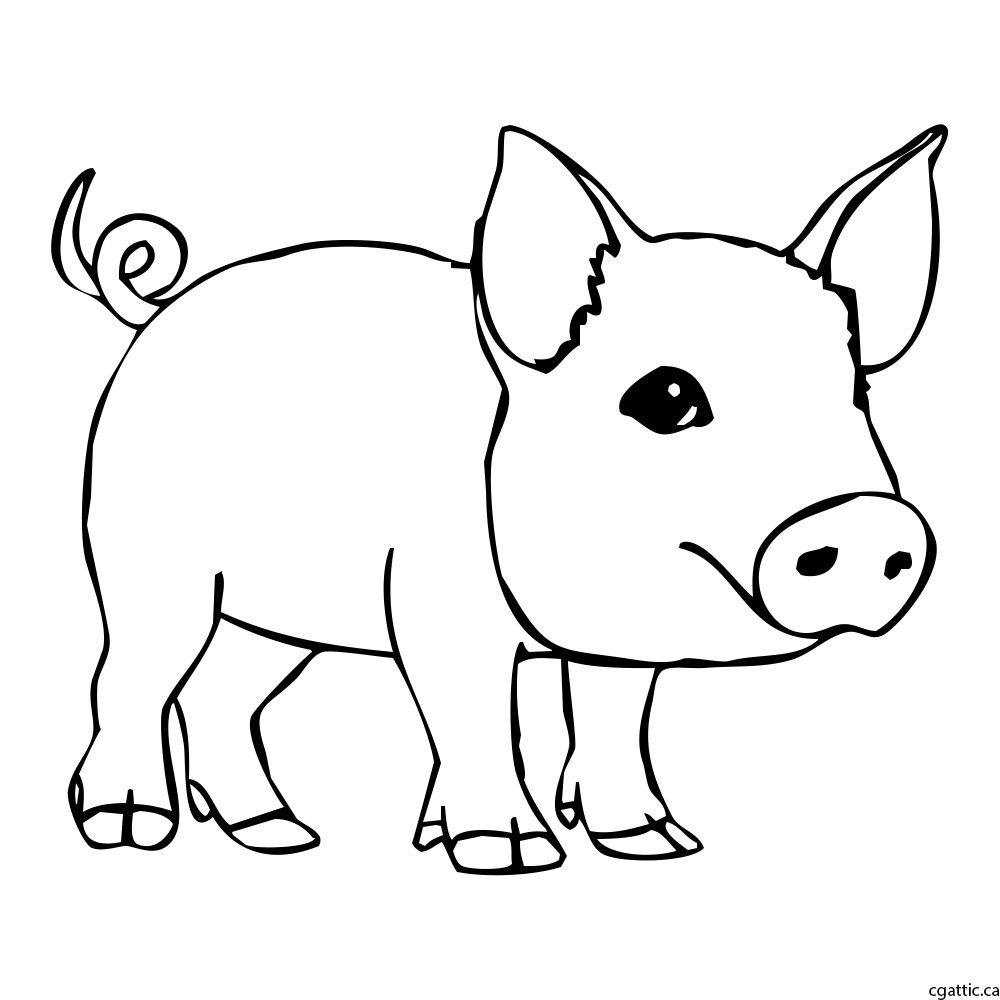 Pig Drawing Images