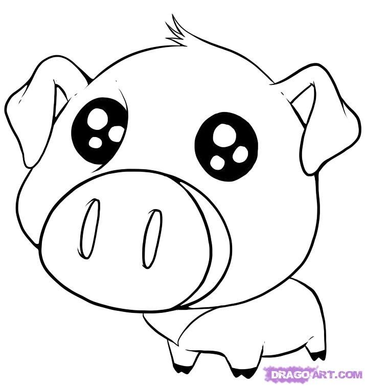 Pig Drawing Pics